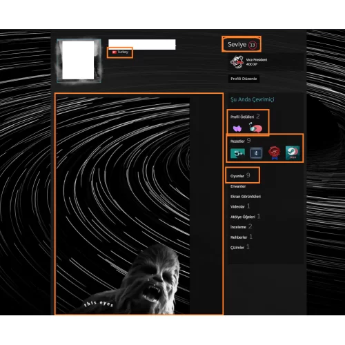  Days Gone Assassin\s Creed Origins 8250 TL STEAM OYUN ENVANTERL